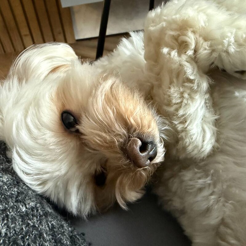 Гринч расслабляется