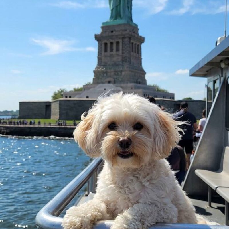 Гринч у Статуи Свободы