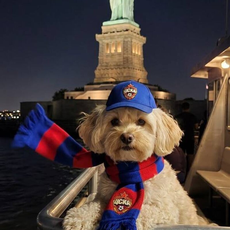 Гринч в шарфе ЦСКА